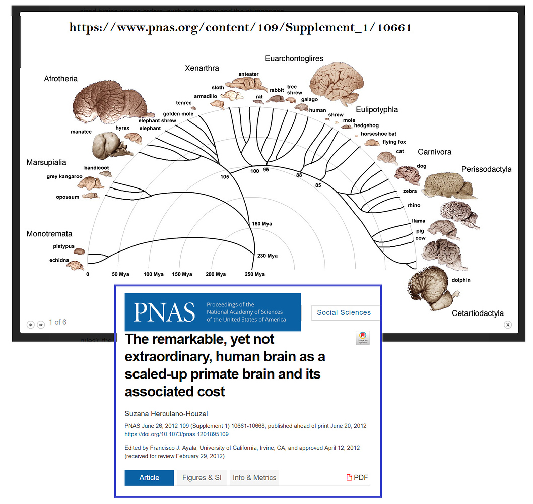 Is there hard evidence for macro-evolution? - Faith & Science ...