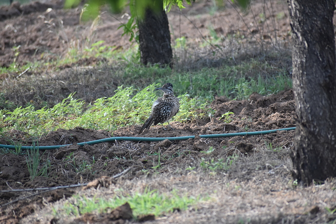 56BD3066-11EA-456A-AACB-0DD4A5043B5E