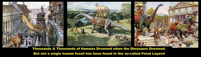 Human-and-Dino-Cooperation
