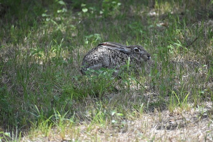 A49EB69A-35FE-4A53-BCB7-C9822988761C