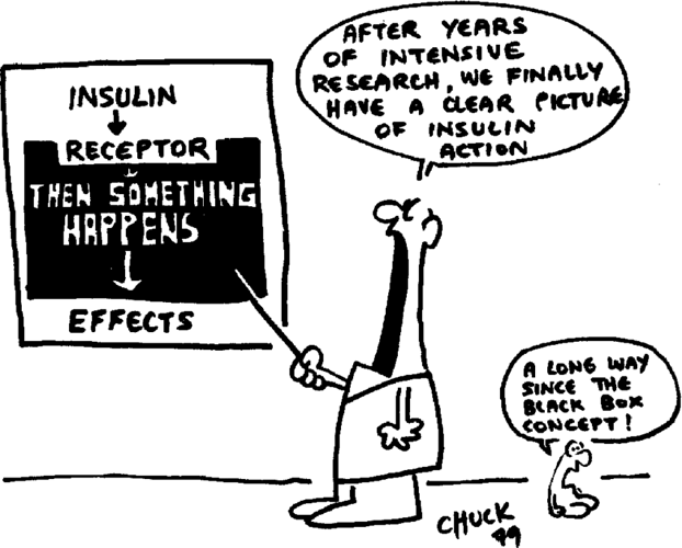 The-classic-cartoon-by-Chuck-showing-the-insulin-transduction-mechanism-as-a-black-box