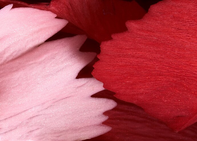pinks1