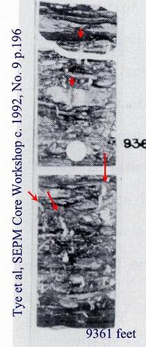 CoreHartDrawCret-9361Wy