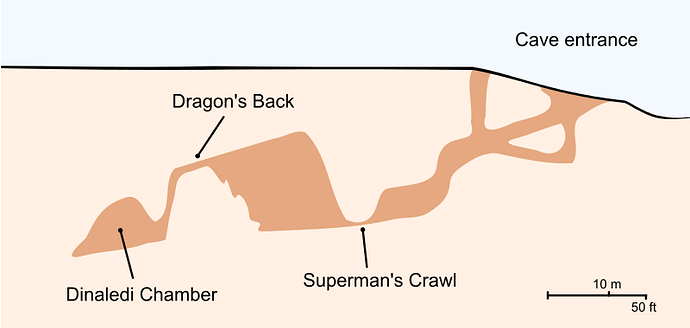 Screenshot 2023-06-24 at 06-51-06 File Cross-section of the Rising Star Cave system Dinaledi Chamber.svg - Wikipedia