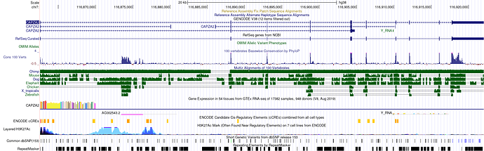 hgt_genome_21cc9_2b9b70