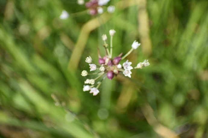 85FEA177-0C3D-46F8-9363-0C1CD7A57C47