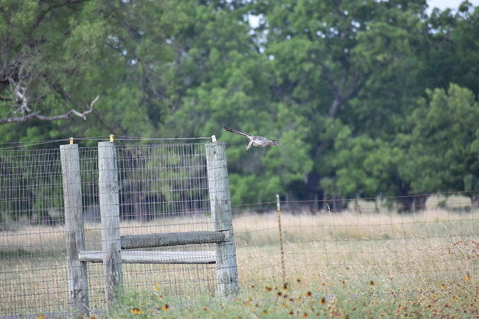 FCE3F75D-01F9-485B-B0C3-7E480FA057A1