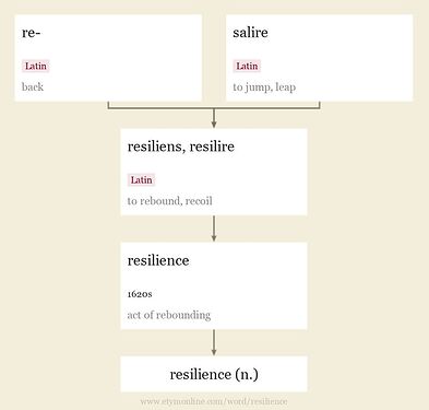 etymology-resilience-12893p_l