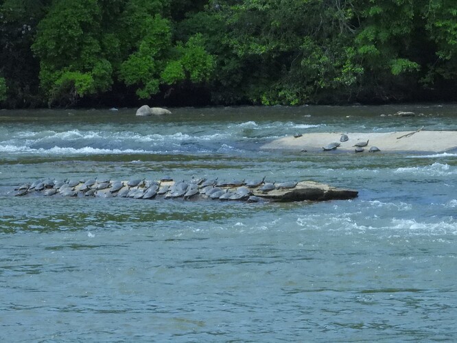 DSCN1096