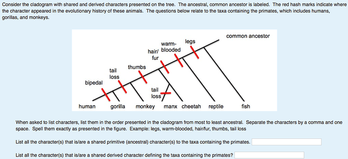 Cladogram-Practice-Sheet-01