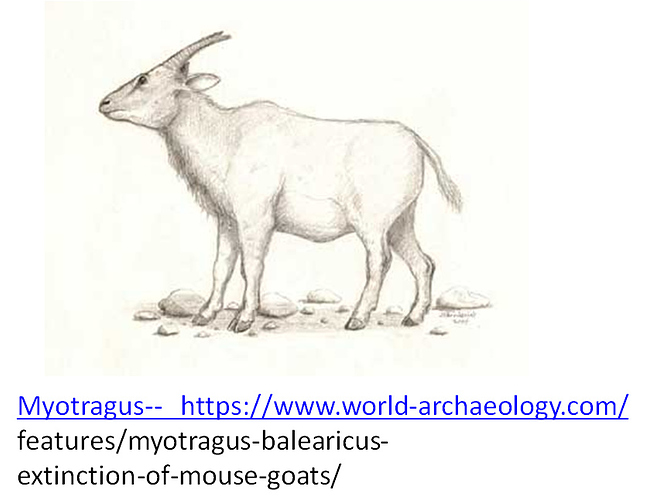mouse-goat