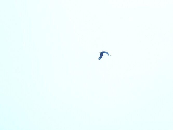 DSCN1148