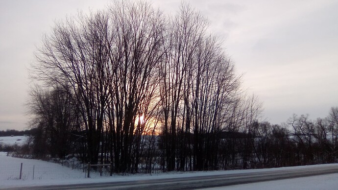 IMG_20230128_084155