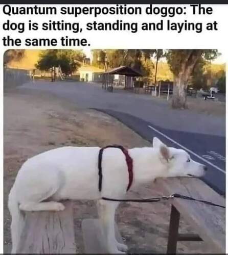 FB_IMG_1671650993803