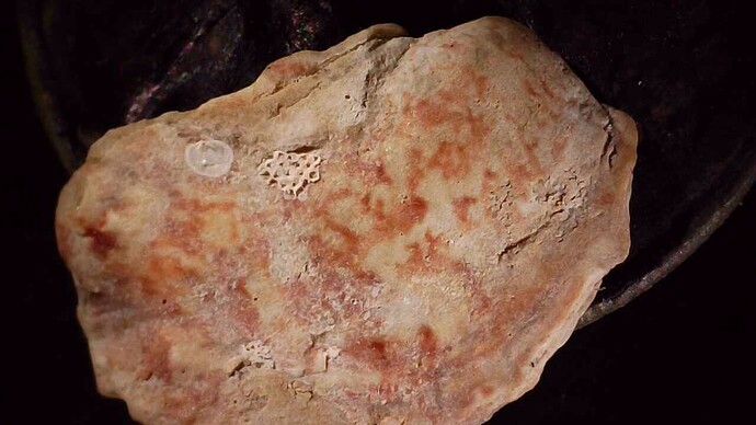 20240719_2031_039_0.000