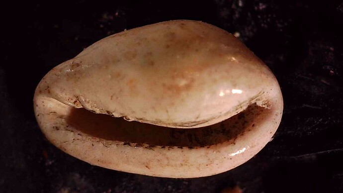 20240723_0944_007_0.000