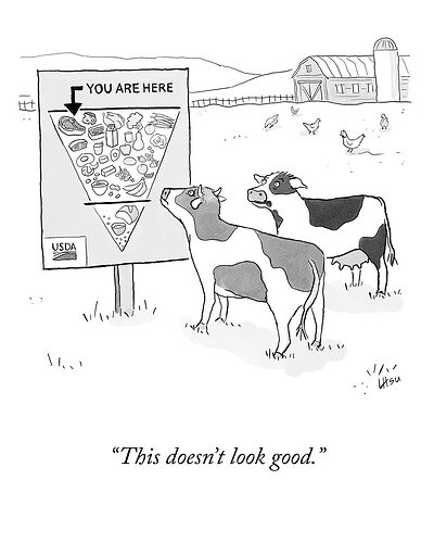 613194151_1307434618079169_677280812460608975_n