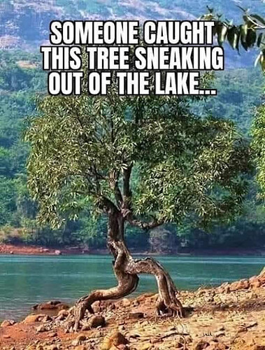 Sneaky tree