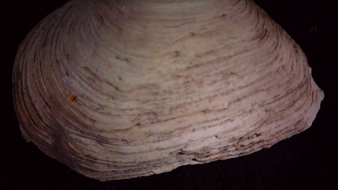 20250108_1042_130_0.000