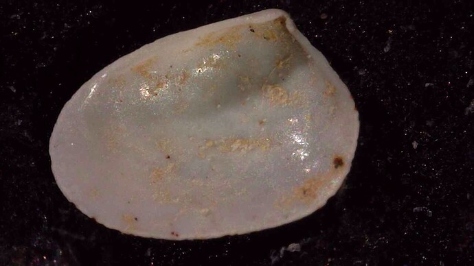 20260119_1158_281_68.900