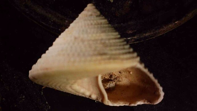 20260108_1714_064_0.000