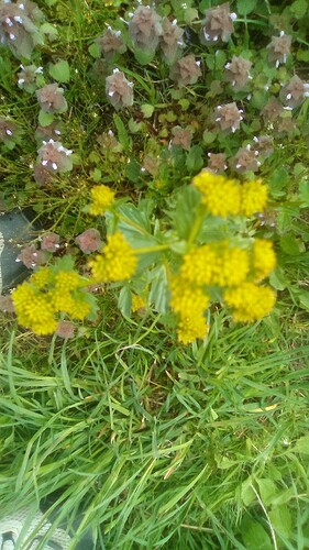 IMG_20250503_164448
