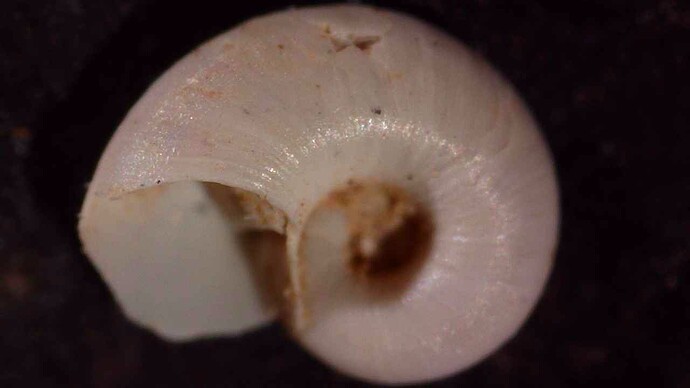 20260127_1950_165_486.000