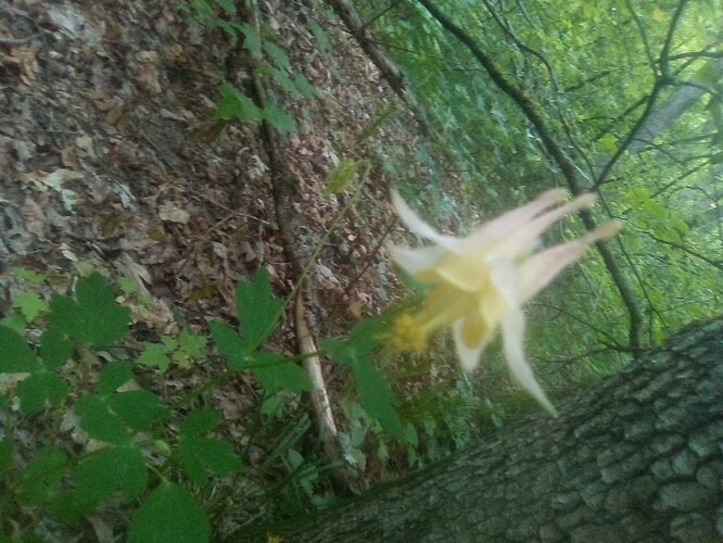 mrousavy-2003797478865930417