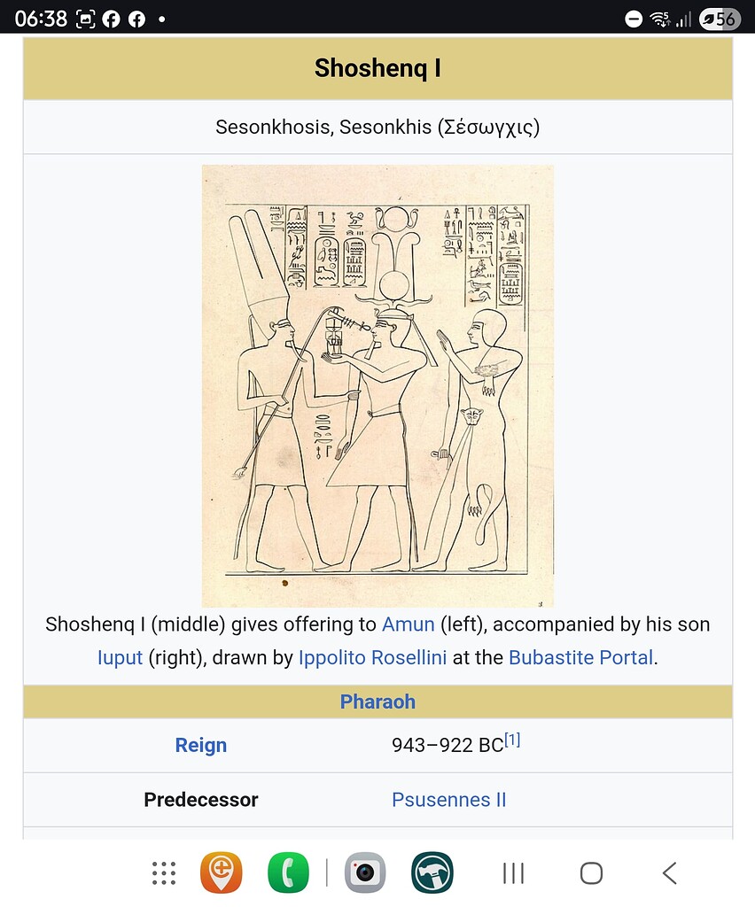 solomon takkies for ladies