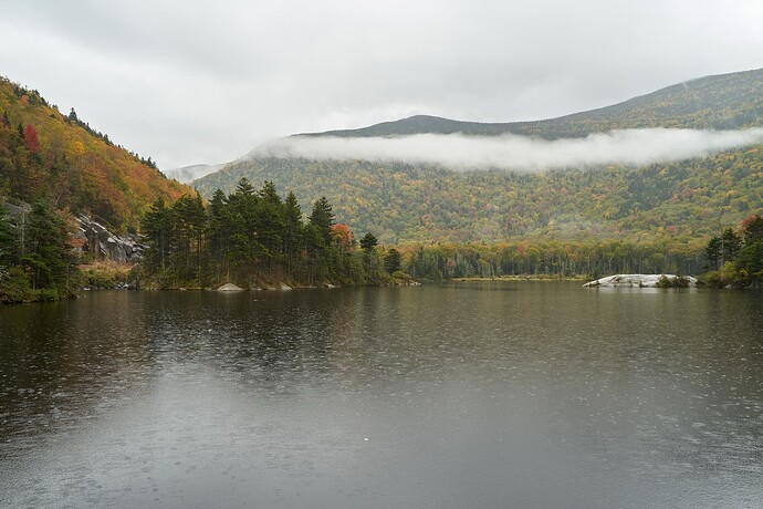 DSC00306a