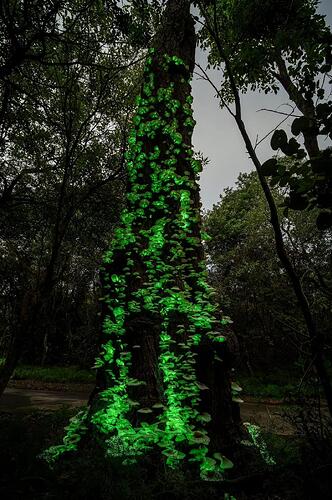 1000019133