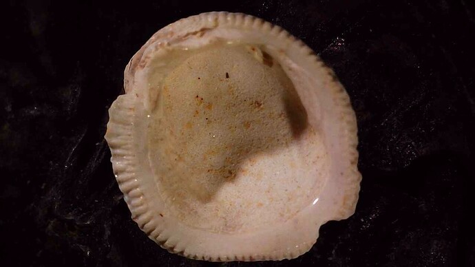 20260121_2104_102_124.100