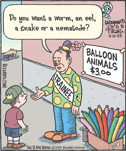 bizarro111125