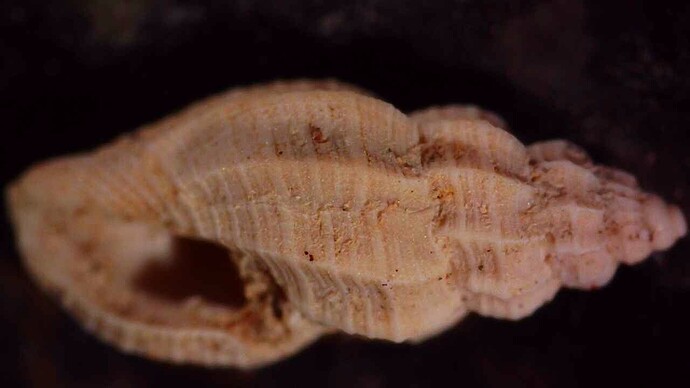 20260125_1727_177_486.000