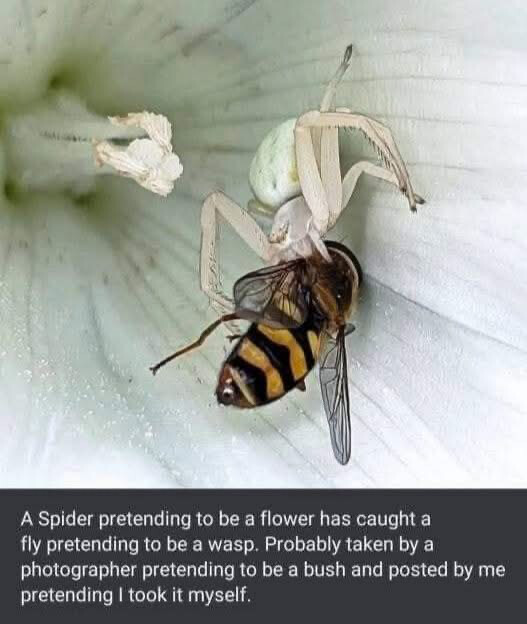 main-qimg-51ca09bb77a562d31a86625c93136d9c