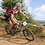 David_Carman