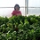 Susan_Linkletter